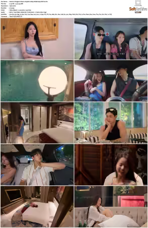 Singles Inferno S05 1080p WEB h264-SCENE