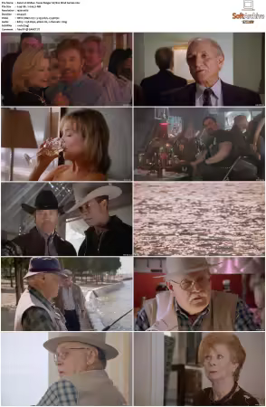 Walker Texas Ranger 1993 S01-S09 1080p WEB-DL H265 10bit DDP2.0-Zero00