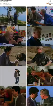 Im With Busey S01 XviD-NOGRP