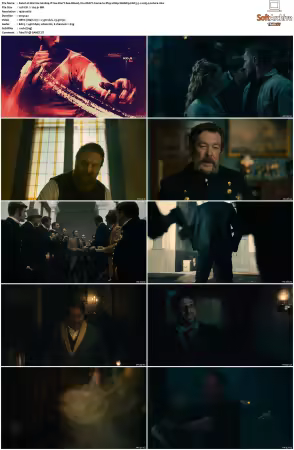 Warrior S01 S03 1080p WebRip EAC3 5.1 x265-Lootera