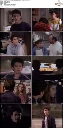 The Wonder Years S01-S06 NTSC DVD REMUX MPEG2 DD 2.0 Homecoming-Rmp4L