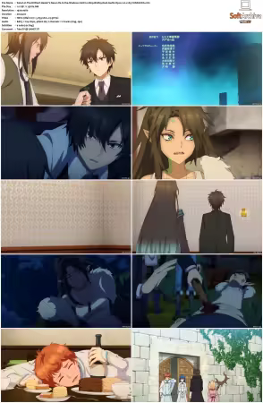 The Brilliant Healers New Life in the Shadows S01 1080p BluRay Dual-Audio Opus 20 x265-YURASUKA