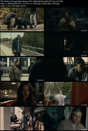 Through Black Spruce 2019 1080p BluRay x264-OFT