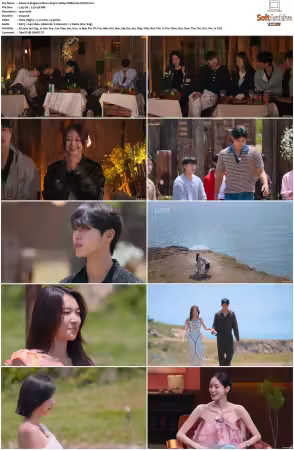 Singles Inferno S05 1080p WEB h264-SCENE