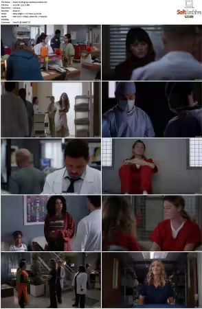 Greys Anatomy S16 DVDRip x264-PFa
