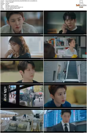 Would You Marry Me S01 1080p DSNP WEB-DL AAC2.0 H264-BiOMA