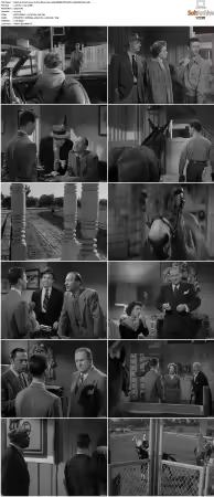 Francis Goes To The Races 1951 1080p BDRip DTS HEVC x265-PoPCoRn