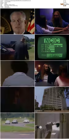The F.B.I. Files S01 S07 AMZN WEB-DL DDP2.0 H264-playWEB