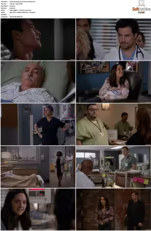 Greys Anatomy S16 DVDRip x264-PFa