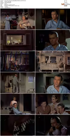 Rear Window 1954 1080p BDRip DTS HEVC x265-PoPCoRn