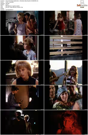 China Beach 1988 S01-S04 1080p H265 AAC 2CH-MNKYDDL