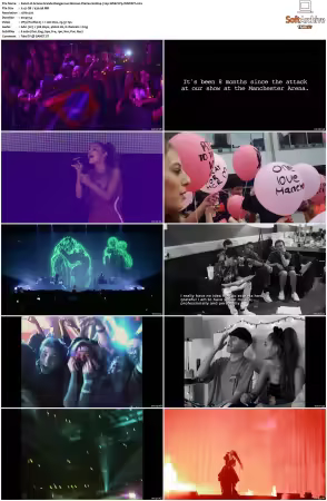 Ariana Grande Dangerous Woman Diaries S01 720p WEB VP9-iNSPiRiT