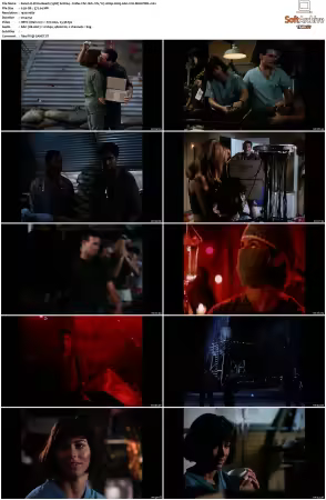 China Beach 1988 S01-S04 1080p H265 AAC 2CH-MNKYDDL