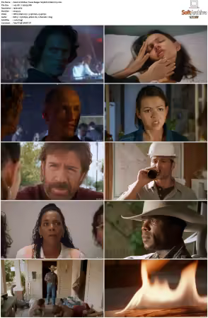 Walker Texas Ranger 1993 S01-S09 1080p WEB-DL H265 10bit DDP2.0-Zero00