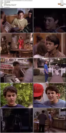The Wonder Years S01-S06 NTSC DVD REMUX MPEG2 DD 2.0 Homecoming-Rmp4L