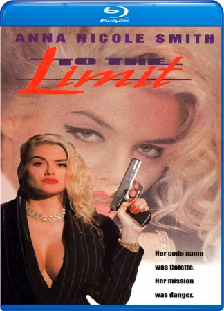 To the Limit 1995 1080p BluRay REMUX AVC DTS HD MA 2.0-RMS