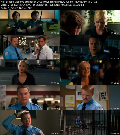 Observe and Report 2009 1080p BluRay HEVC x265 5.1 BONE