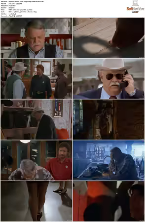 Walker Texas Ranger 1993 S01-S09 1080p WEB-DL H265 10bit DDP2.0-Zero00