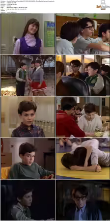 The Wonder Years S01-S06 NTSC DVD REMUX MPEG2 DD 2.0 Homecoming-Rmp4L