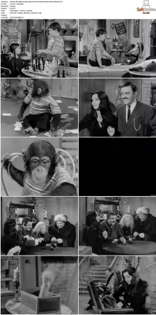 The Addams Family 1964 S01-S02 REMASTERED BDRip x264-BROADCAST