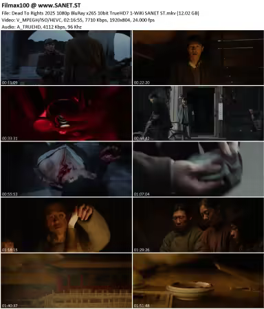 Dead To Rights 2025 1080p BluRay x265 10bit TrueHD7 1-WiKi