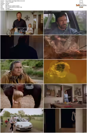 Walker Texas Ranger 1993 S01-S09 1080p WEB-DL H265 10bit DDP2.0-Zero00