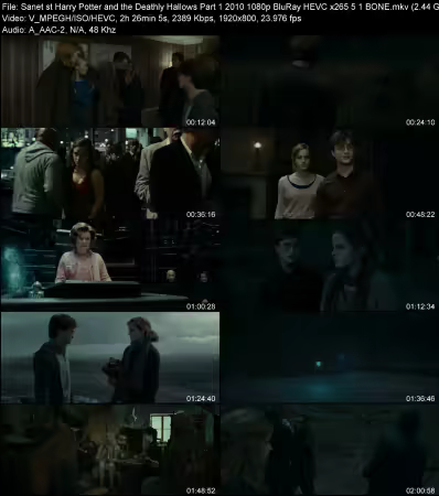 Harry Potter and the Deathly Hallows Part 1 2010 1080p BluRay HEVC x265 5.1 BONE