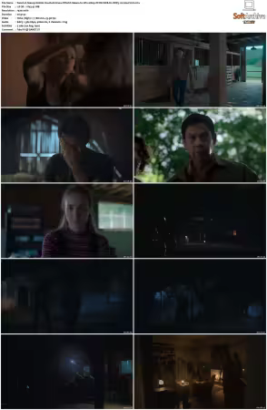 Teacup S01 1080p PCOK WEB-DL DDP5 1 H264-FLUX