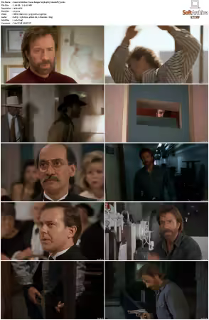 Walker Texas Ranger 1993 S01-S09 1080p WEB-DL H265 10bit DDP2.0-Zero00