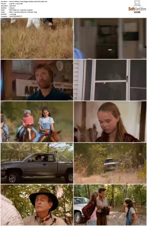 Walker Texas Ranger 1993 S01-S09 1080p WEB-DL H265 10bit DDP2.0-Zero00