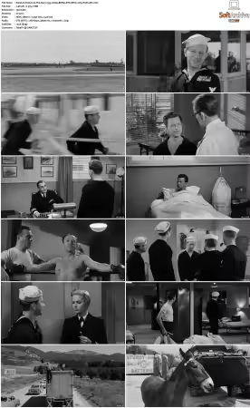 Francis In The Navy 1955 1080p BDRip DTS HEVC x265-PoPCoRn