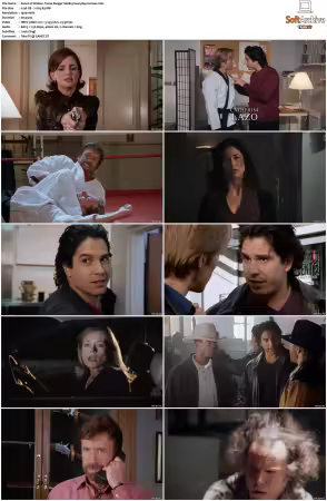 Walker Texas Ranger 1993 S01-S09 1080p WEB-DL H265 10bit DDP2.0-Zero00