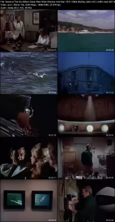 The Six Million Dollar Man Wine Women And War 1973 1080p BluRay x264 AAC-LAMA
