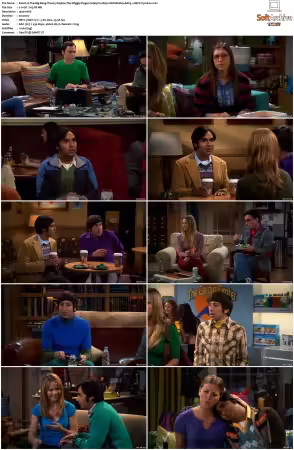 The Big Bang Theory 2007 Season 5 S05 1080p BluRay x265 HEVC 10bit AAC 5.1 Vyndros