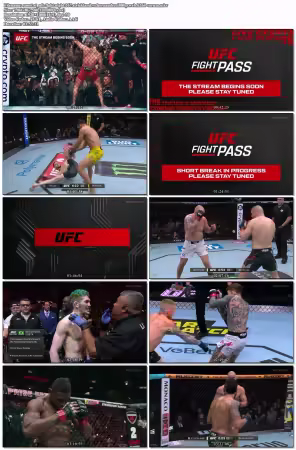 UFC Fight Night 267 Strickland Vs Hernandez 1080p WEB H264-VERUM