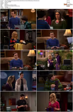The Big Bang Theory 2007 Season 5 S05 1080p BluRay x265 HEVC 10bit AAC 5.1 Vyndros