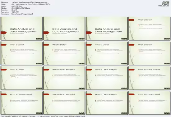 Excel Data Analysis &amp; Data Management for Business &amp; Careers