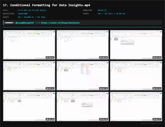 Excel Data Analysis for Professionals and Analysts