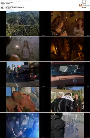 Skinned Deep 2004 1080p BRRip AAC H264-XBiTs