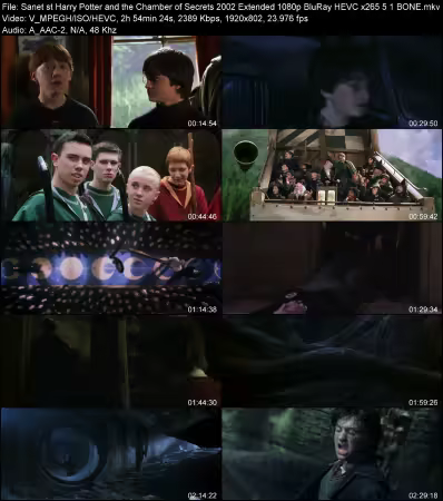 Harry Potter and the Chamber of Secrets 2002 Extended 1080p BluRay HEVC x265 5.1 BONE