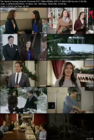 Coming Home for Christmas 2017 1080p WEBRip DDP 2.0 10bit H265-iVy