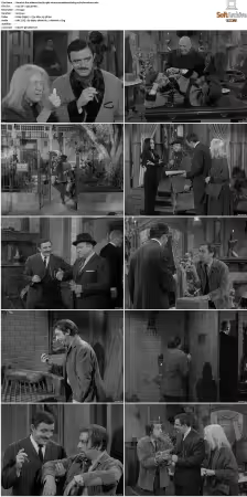 The Addams Family 1964 S01-S02 REMASTERED BDRip x264-BROADCAST