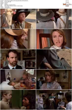 Dr Quinn Medicine Woman S01 MULTi 1080p WEB H264-UKDTV