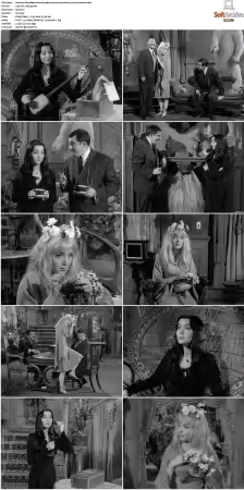 The Addams Family 1964 S02 720p BluRay x264-BROADCAST