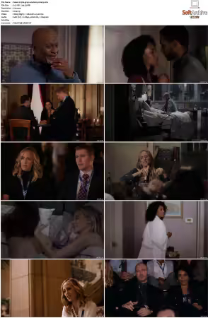 Greys Anatomy S16 DVDRip x264-PFa
