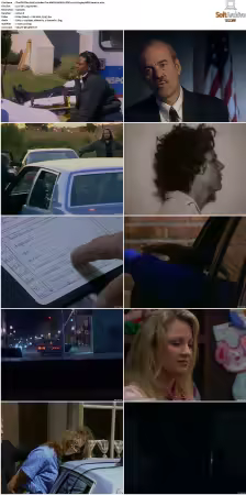The F.B.I. Files S01 S07 AMZN WEB-DL DDP2.0 H264-playWEB