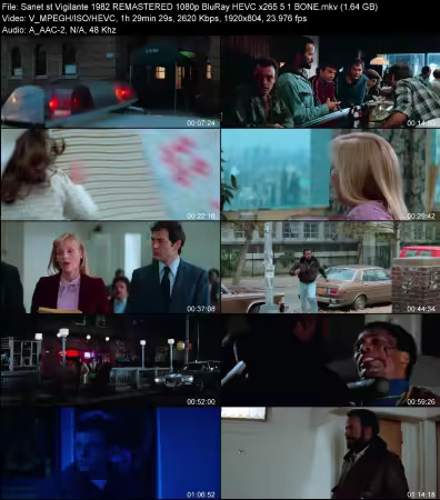 Vigilante 1982 REMASTERED 1080p BluRay HEVC x265 5.1 BONE