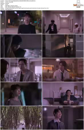Call It Love S01 1080p DSNP WEB-DL DDP5.1 H264-APEX