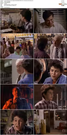 The Wonder Years S01-S06 NTSC DVD REMUX MPEG2 DD 2.0 Homecoming-Rmp4L
