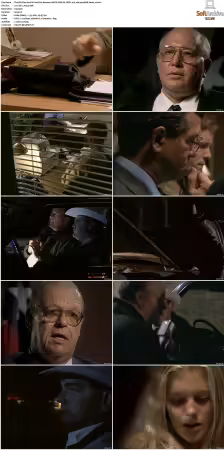 The F.B.I. Files S01 S07 AMZN WEB-DL DDP2.0 H264-playWEB